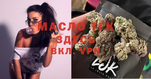 винт Ветлуга