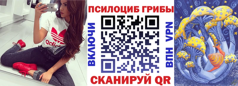 Псилоцибиновые грибы Psilocybine cubensis  Бугуруслан 